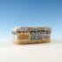 Wood screws CAMO A4 60 mm 350 pcs. - Image 2