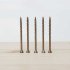 CAMO Premium wood screws for terraces