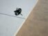 Tile holder for sand, grass or gravel - Image 2